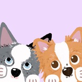 Telegram profile photo for ʟɪғᴇ ᴏғ ᴛᴡᴏ ʙᴏʀᴅᴇʀs