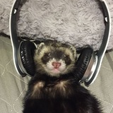 Telegram profile photo for переезд