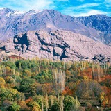 Telegram profile photo for کانال دهیاری گازرخان بزرگ