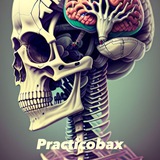 Telegram profile photo for Practicobax