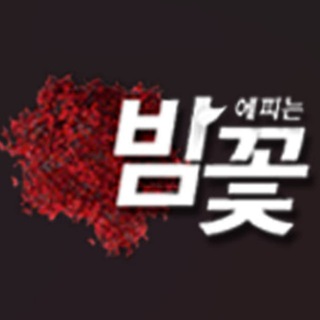 Telegram profile photo for 밤꽃 공식 채널