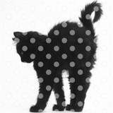 Telegram profile photo for chatty