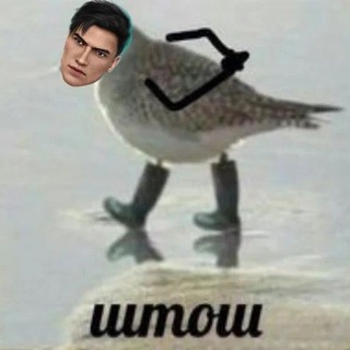 Telegram profile photo for веллвим