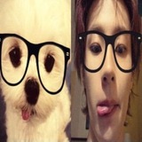 Telegram profile photo for ANTON DAILY UPDATE
