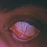 Telegram profile photo for 𝘾𝘪𝘺𝘢𝘯𝘰𝘳𝘦