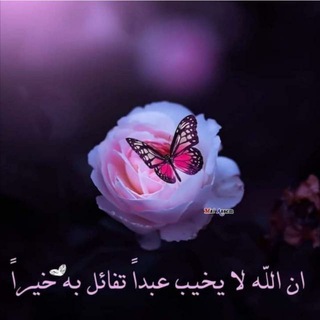 Telegram profile photo for اقواال اجمل من رااائعه
