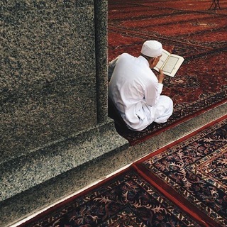 Telegram profile photo for وإيَّاك نَسْتَعِين 🌱.