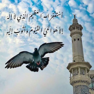 Telegram profile photo for "مُنبّه الاستِغْفَار"