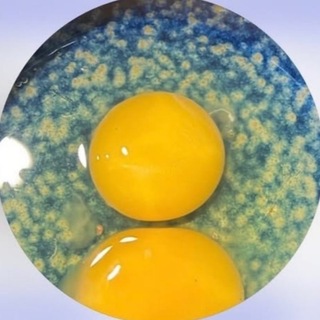 Telegram profile photo for Earning Keeda):- Official 🐣