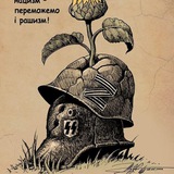 Telegram profile photo for Полит Пирожки и Порошки