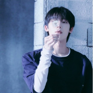 Telegram profile photo for Stealer : Enhypen Stickers