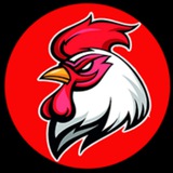 Telegram profile photo for 🤴AirDrop - Gà COIN🤴