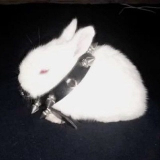Telegram profile photo for а