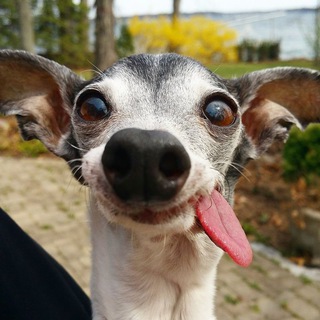 Telegram profile photo for Смехуюлечки от Юлечки 😜