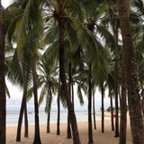 Telegram profile photo for Beach.com