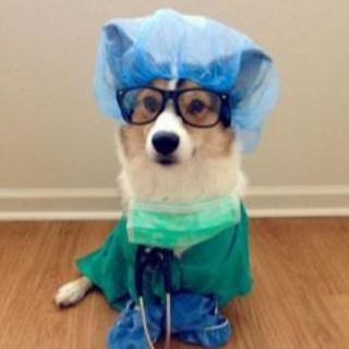 Telegram profile photo for переходник медицина кф