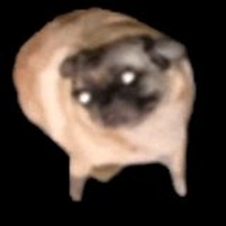 Telegram profile photo for собачье мемце