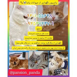Telegram profile photo for پانسیون حیوانات خانگی و پرندگان زینتی پاندا