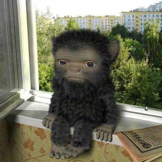 Telegram profile photo for органические вещества