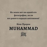 Telegram profile photo for |دماء شهيد|
