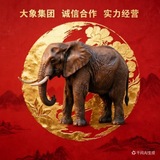 Telegram profile photo for 【大象集团】 同心致远