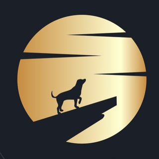 Telegram profile photo for MoonDogecoin Official