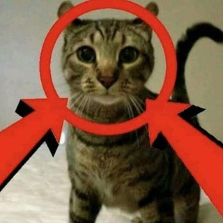 Telegram profile photo for dialectical shitposting