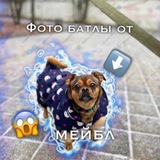 Telegram profile photo for ФБ от Мейбл