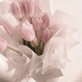 Telegram profile photo for Flowers & Girl “Pocket”. The Scene—I, Serotonin Tinted With Melancholy: Blush-Ruled Reign.