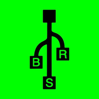 Telegram profile photo for BSR
