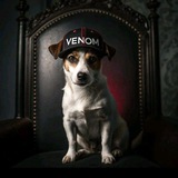 Telegram profile photo for +реп