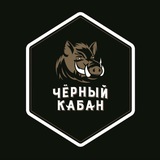 Telegram profile photo for 🐗