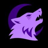 Telegram profile photo for 🐺 WOLVES CDT 🐺