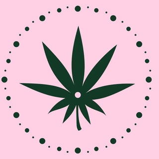 Telegram profile photo for CANNA TIME™