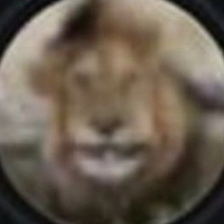 Telegram group profile photo for Чат Смерть в нищите