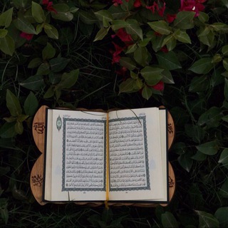 Telegram profile photo for مقاطع قرآن
