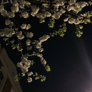 Telegram profile photo for أهل التوحيد