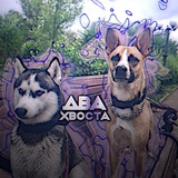 Telegram profile photo for Два хвоста🛐🐶