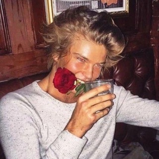 Telegram profile photo for LooksBased | Chat
