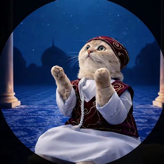 Telegram profile photo for ٱفــخم ناس بـ تࢦــي ❤🔥