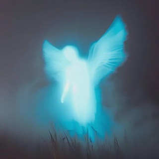Telegram profile photo for It's my life