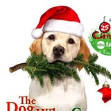 Telegram profile photo for Mamma che natale da cani FILM the dog who saved Christmas ITA