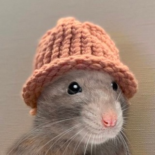 Telegram profile photo for RatWifHat Portal