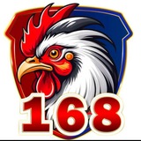 Telegram profile photo for V168
