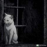 Telegram profile photo for 𝔪𝔶 𝔱𝔥𝔬𝔲𝔤𝔥𝔱𝔰