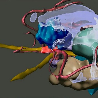 Telegram profile photo for Neuro3d