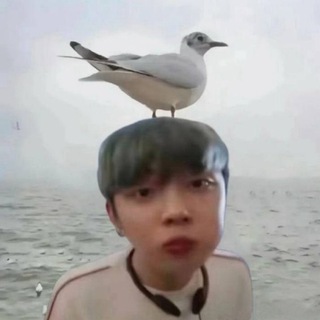 Telegram profile photo for хэлп