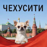 Telegram profile photo for ЧехуСити🐶