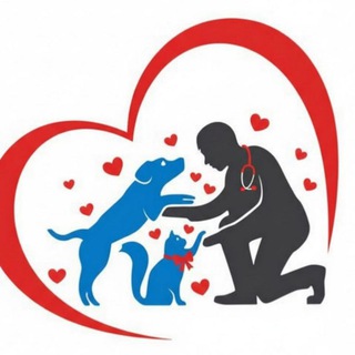 Telegram profile photo for Помощь волонтёрам 🐈⬛🐕🦺