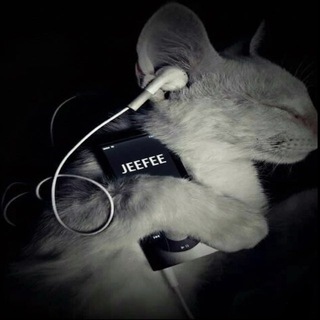 Telegram profile photo for JEEFEE